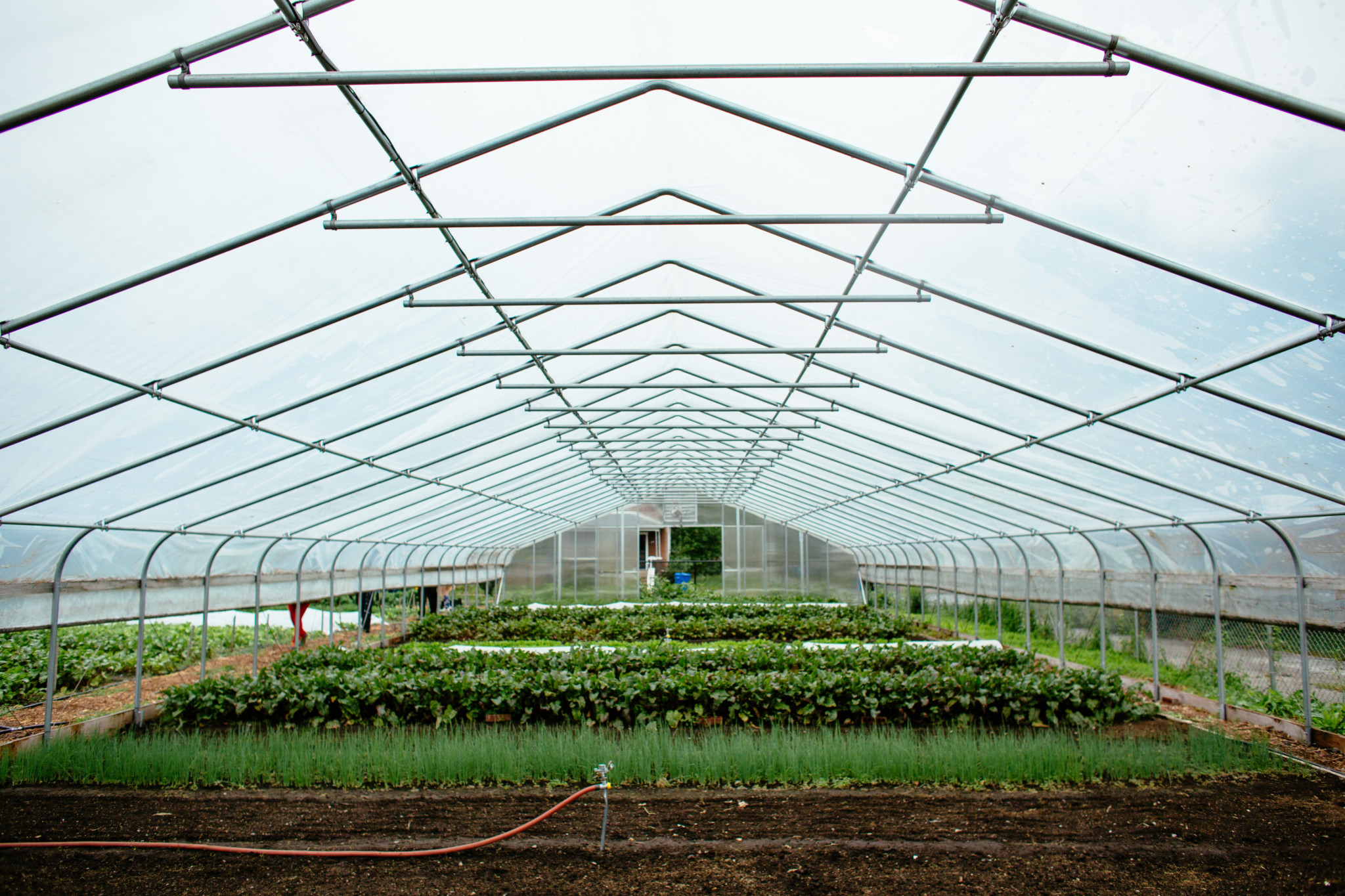 Growing Home Wood Street farm Chicago, IL. September 12, 2014. Photo by Andrew Collings.