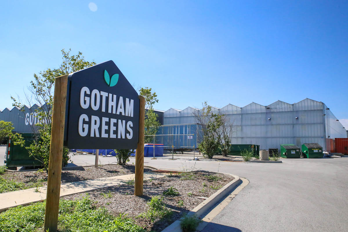 Best Futuristic Source of Local Fresh Greens: Gotham Greens