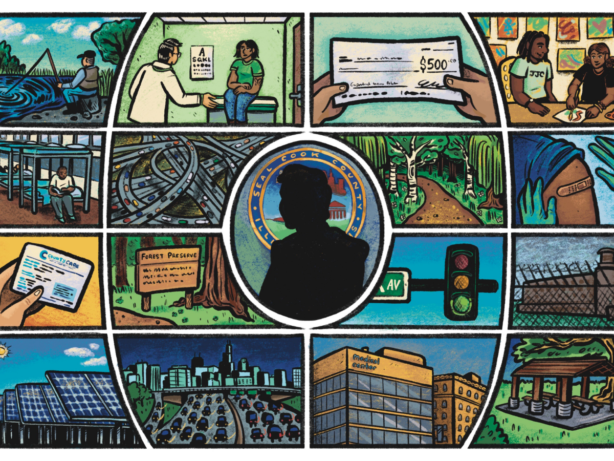 Demystifying the Cook County Board